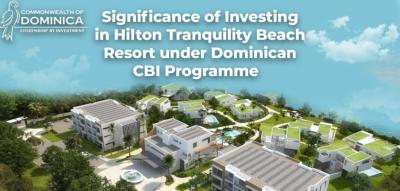 Significance of Investing in Hilton Hotel