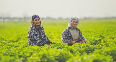 UAE Golden Visa for farmers? How two Thai women became the first receiepients for growing dates abroad